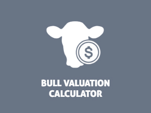 Beef Cattle Research Council bull valuation calculator