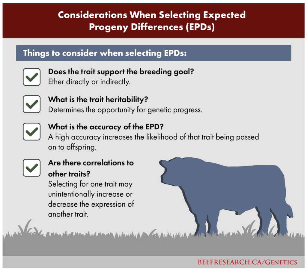 expected progeny difference considerations