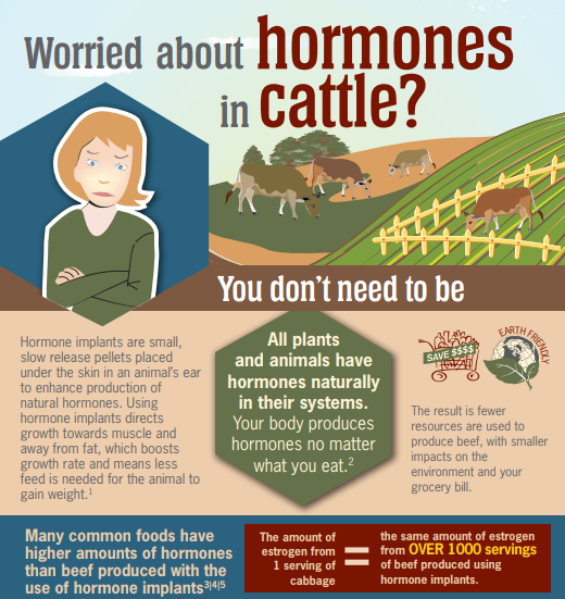 Hormones & Other Growth Promotants in Beef Production Beef Cattle