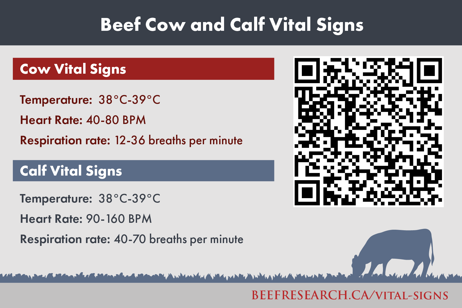 beef cow and calf vital signs