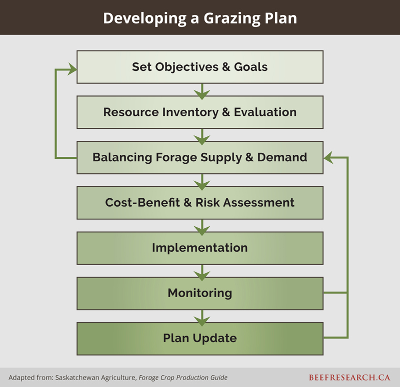 developing a grazing plan