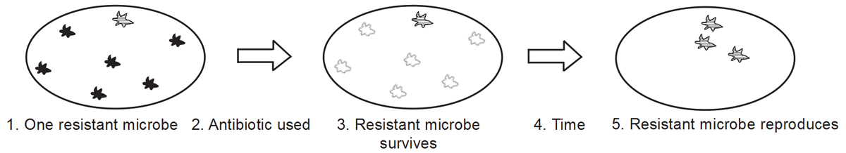 Click to enlarge Natural antimicrobial resistance