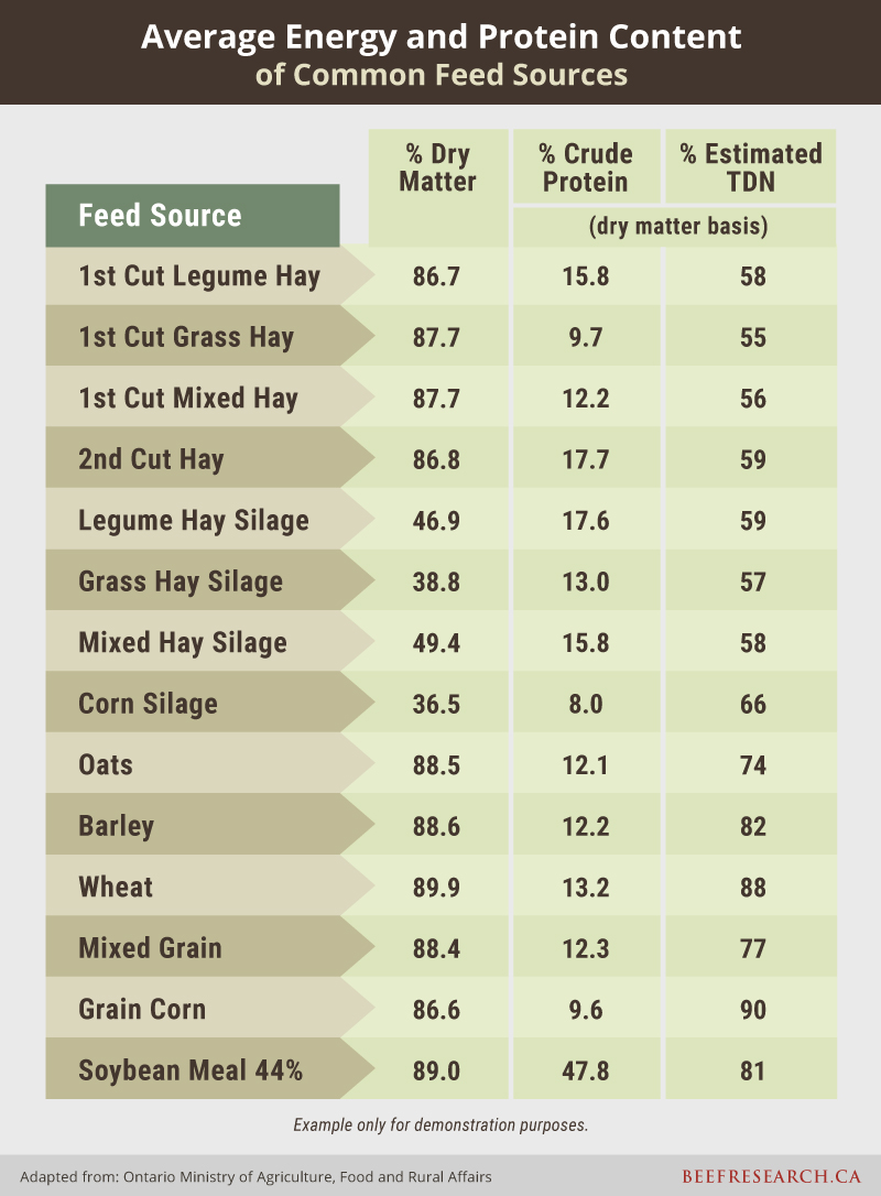 Nutritional Qualities of Beef 