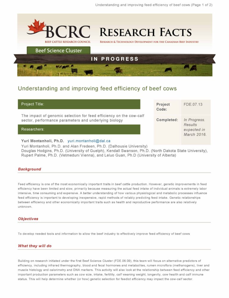 Understanding And Improving Feed Efficiency Of Beef Cows Beefresearch Ca