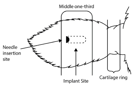 How to use growth implants in cattle.