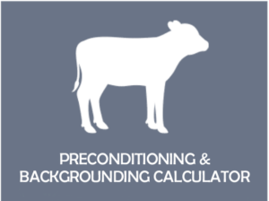 BCRC Preconditioning & Backgrounding Calculator