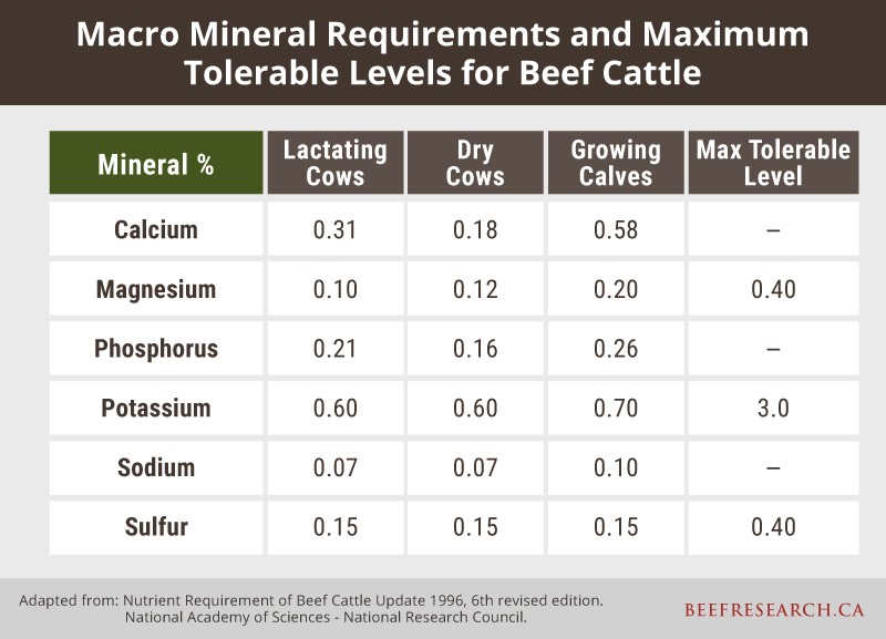 Daily mineral requirements