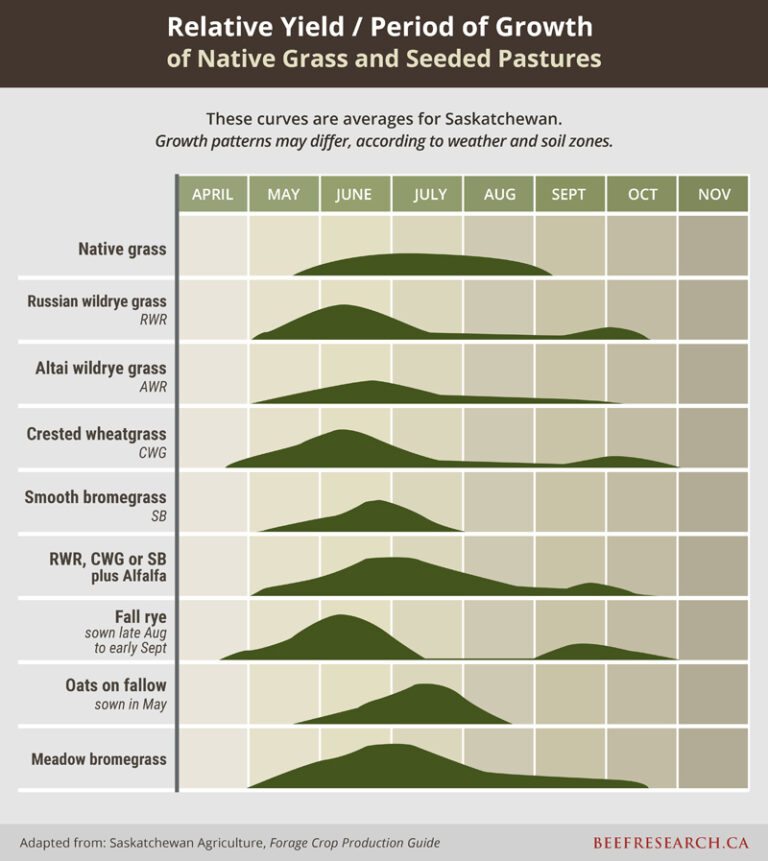 Forage Species - BeefResearch.ca