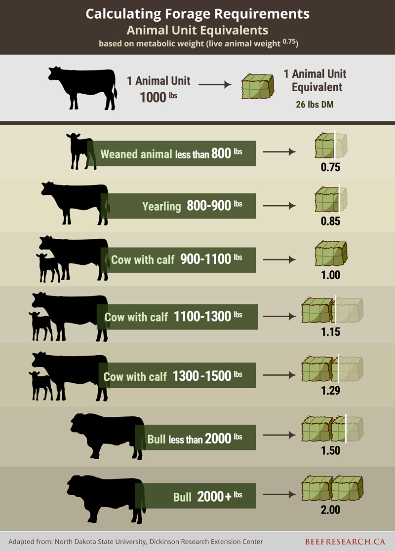 Forage Grasslands Record Keeping Level 3 BeefResearch ca