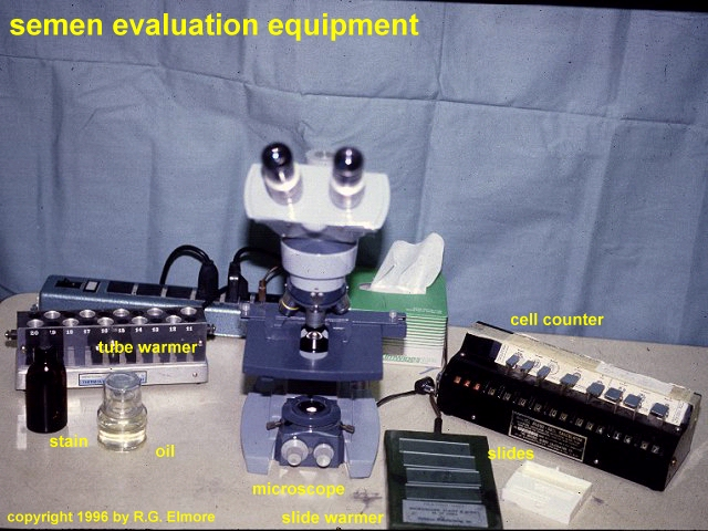 common bull semen evaluation equipment