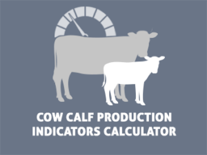 Interactive Production Tools & Calculators from BeefResearch.ca