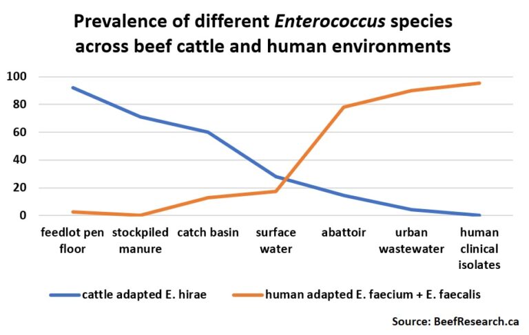 Antibiotic Resistance - BeefResearch.ca