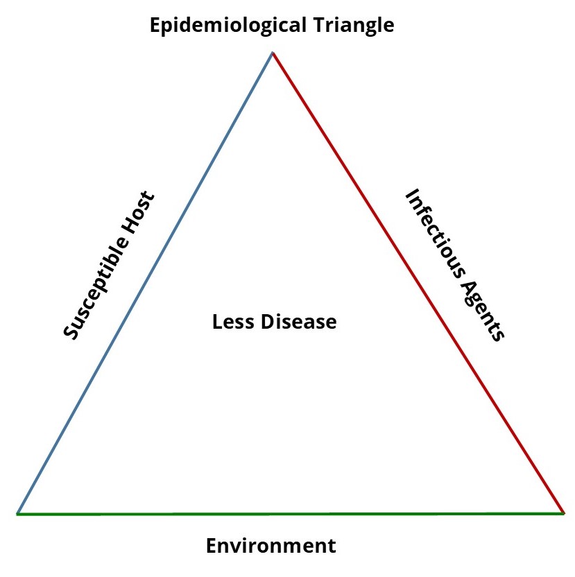 What is the Epidemiologic Triangle?