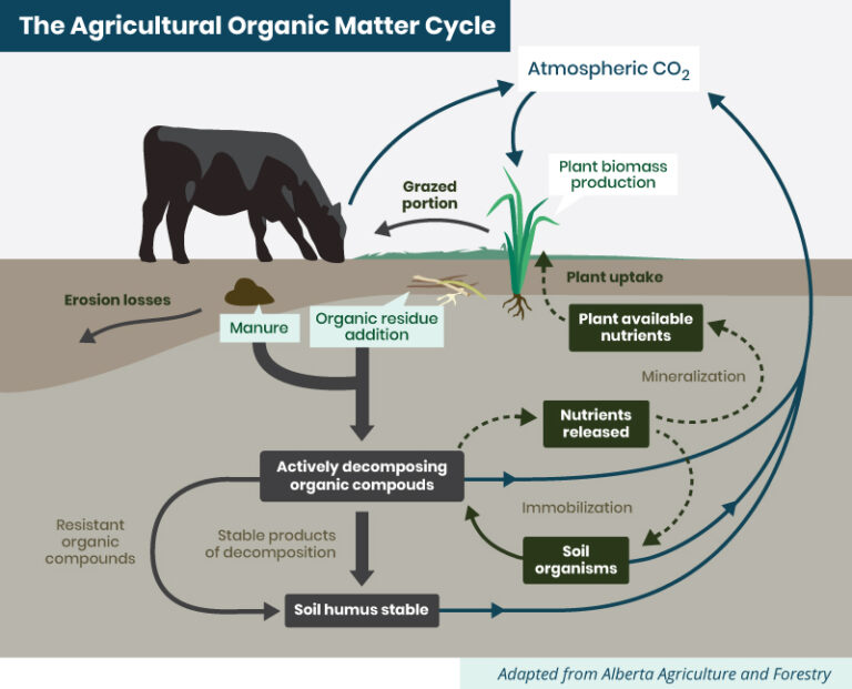 Managing Pasture Soils - Pasture 101