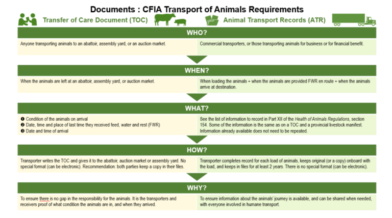 updated-livestock-transport-regulations-and-what-you-need-to-know