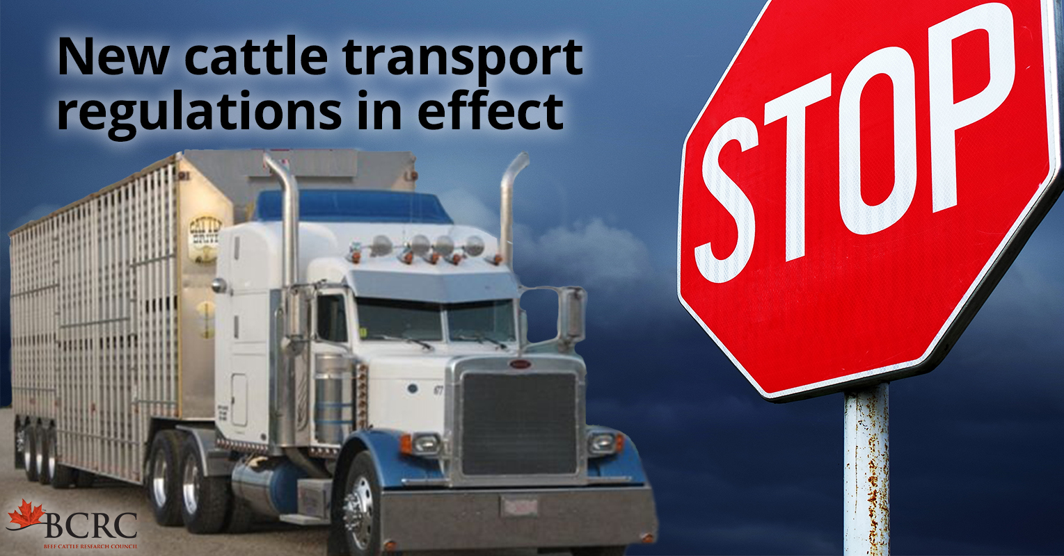 updated-livestock-transport-regulations-and-what-you-need-to-know