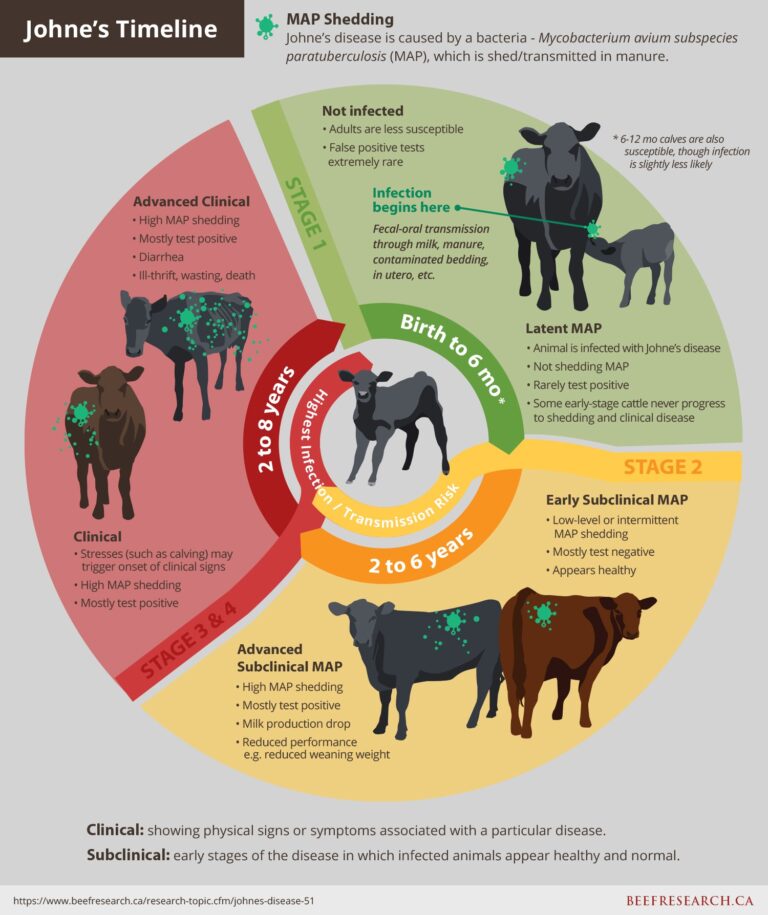 Johne’s Disease - Beefresearch.ca