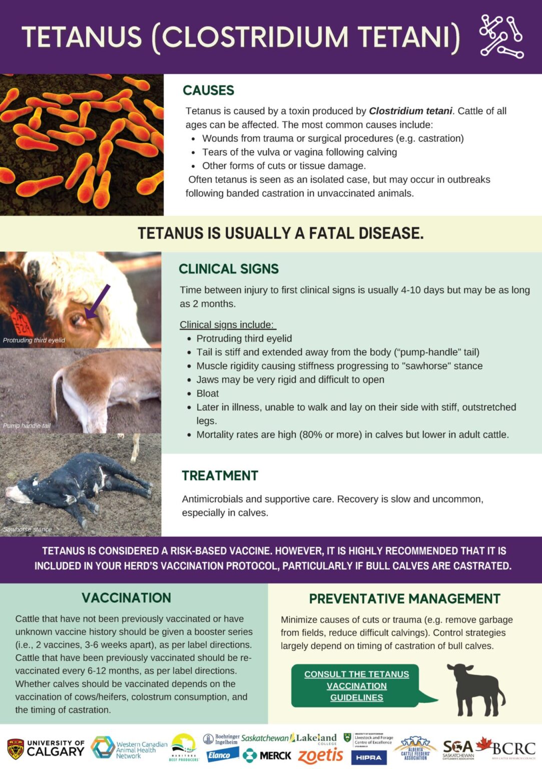 Vaccination Infographics & Guidelines - BeefResearch.ca