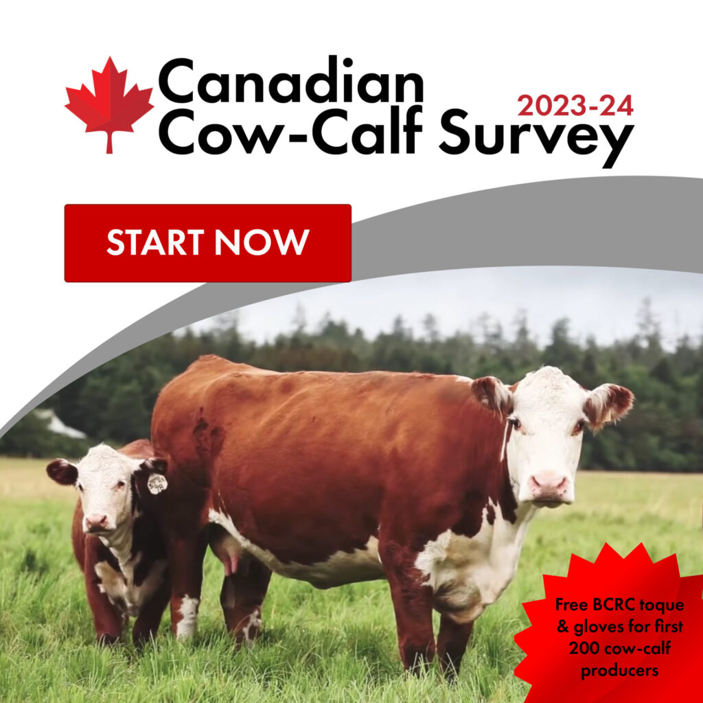 2023 Cow Calf Survey Promo 0 1080x1080 1 1024x1024 