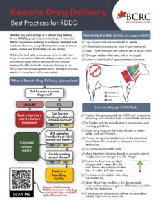 protocol for remote drug delivery for cattle