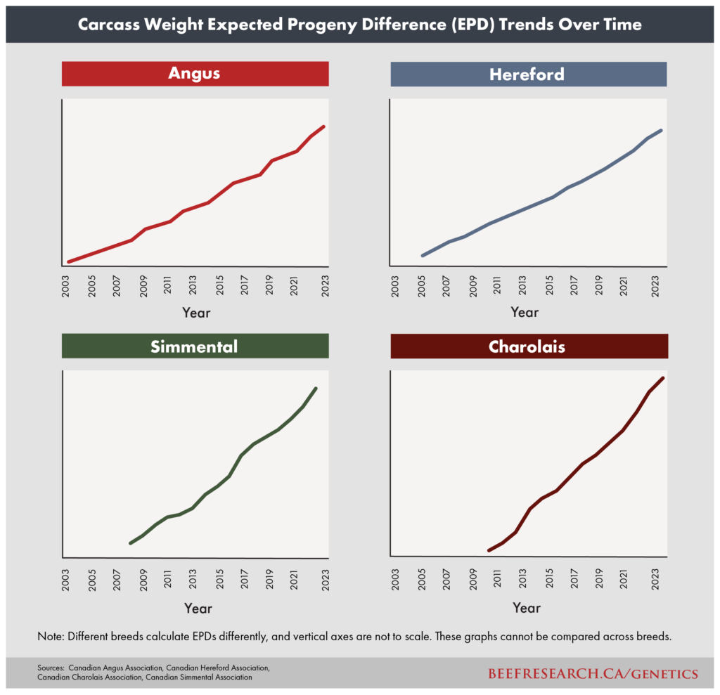 Beef carcass weight expected progeny difference trends