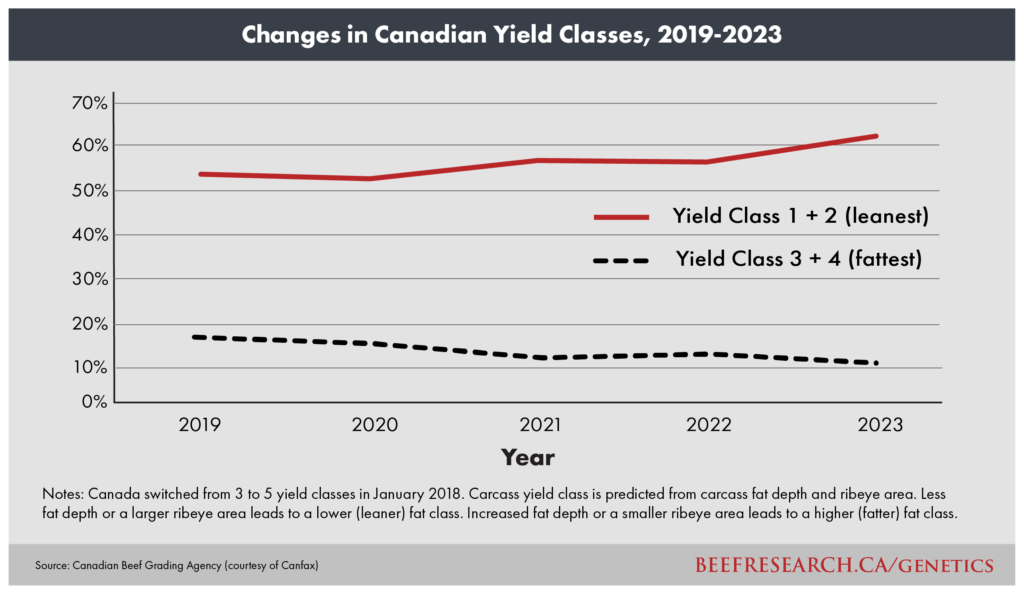 Changes in Canadian beef yield classes