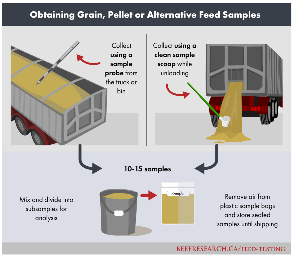 obtaining grain, pellet or alternative feed samples