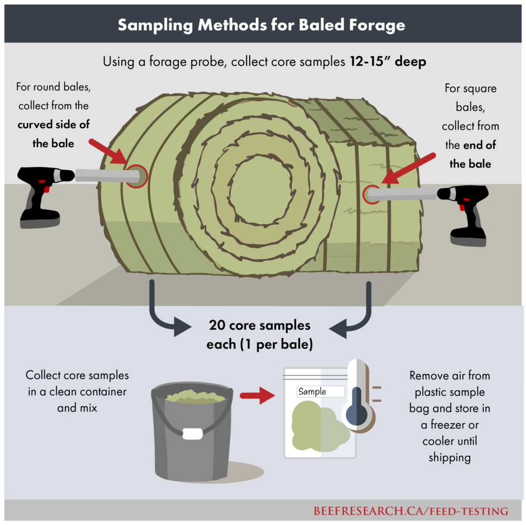 sampling methods for 
baled forage