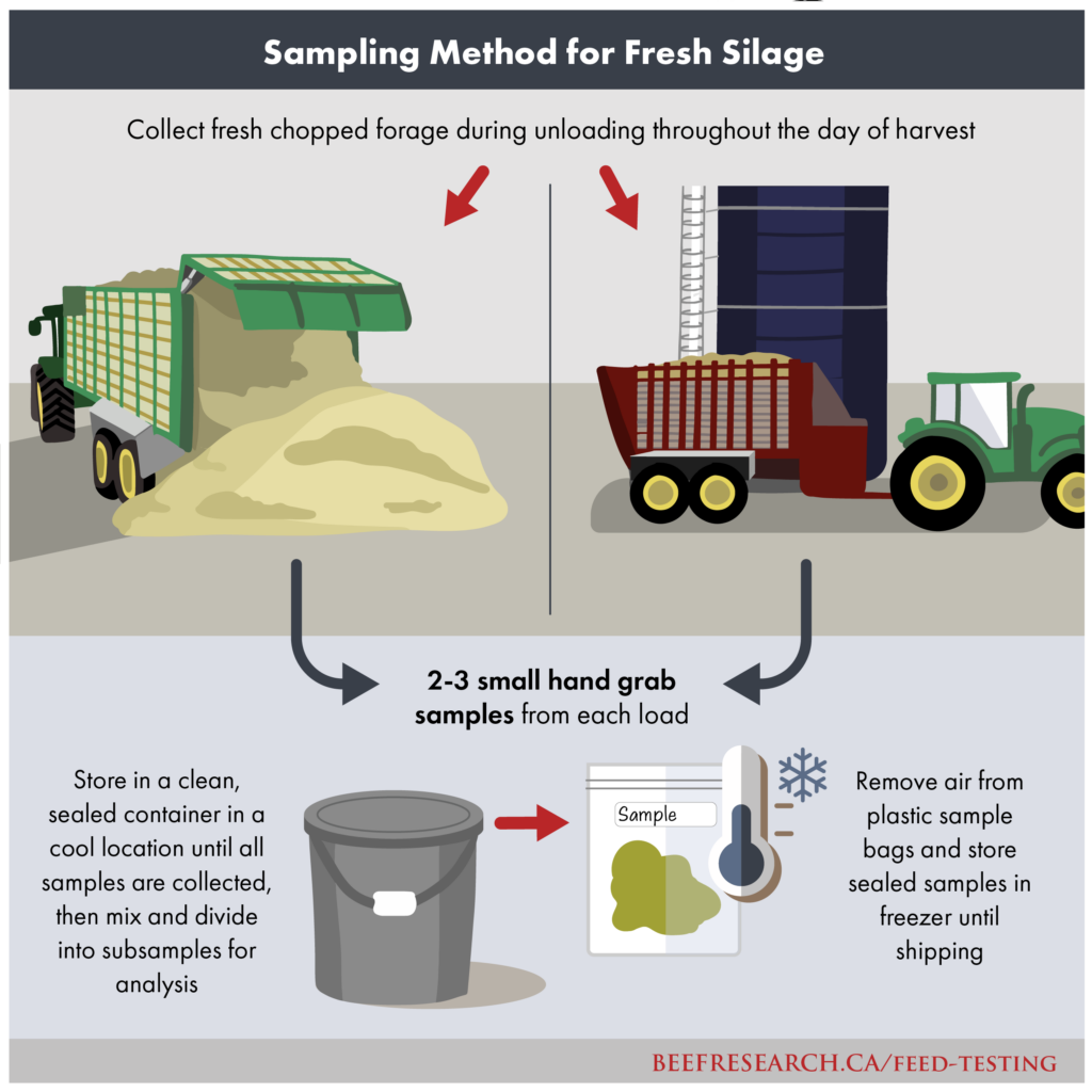 sampling method for fresh silage