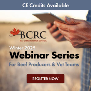 winter 2025 webinar series for beef producers and vet teams