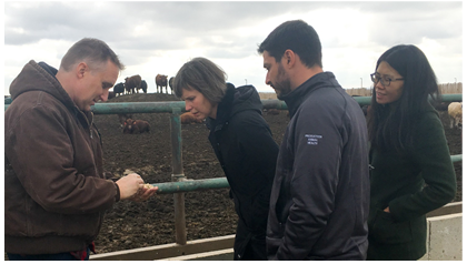 Alberta feedlot operator Bryan Theisen and 2018-19 beef researcher mentees Dr. Jillian Bainard, Dr. Gabriel Ribeiro and Dr. Dongyan Niu