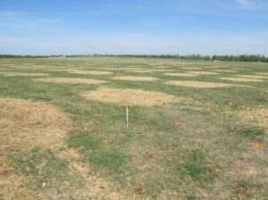 rotational bale grazing with fencing