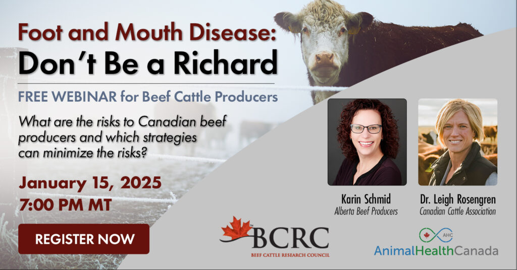 Free webinar for beef producers on foot and mouth disease 