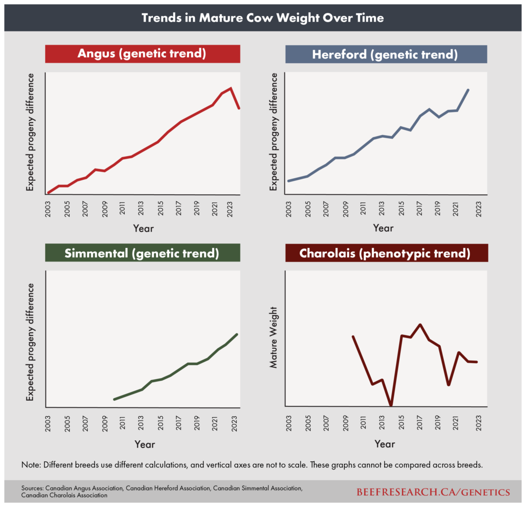 Trends in mature cow weight over time by breed