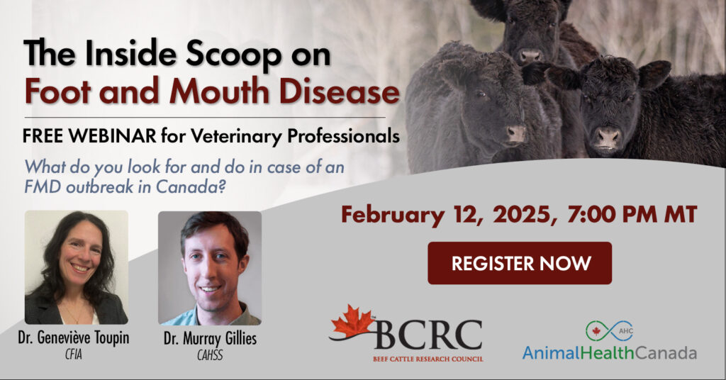 Free webinar: The inside scoop on Foot and Mouth Disease for veterinary professionals