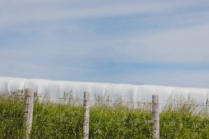 ensiled bales with fence in foreground