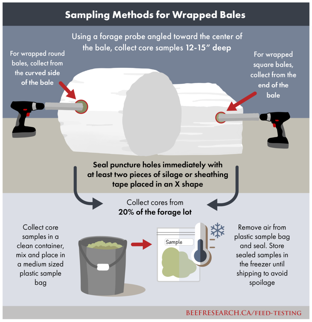 sampling method for wrapped bales