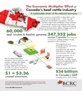 The Economic Multiplier Effect of Canada's beef cattle industry