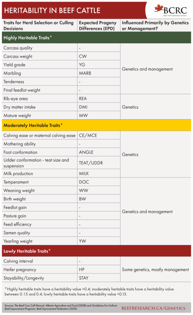 Trait heritability and associated EPDs for beef cattle