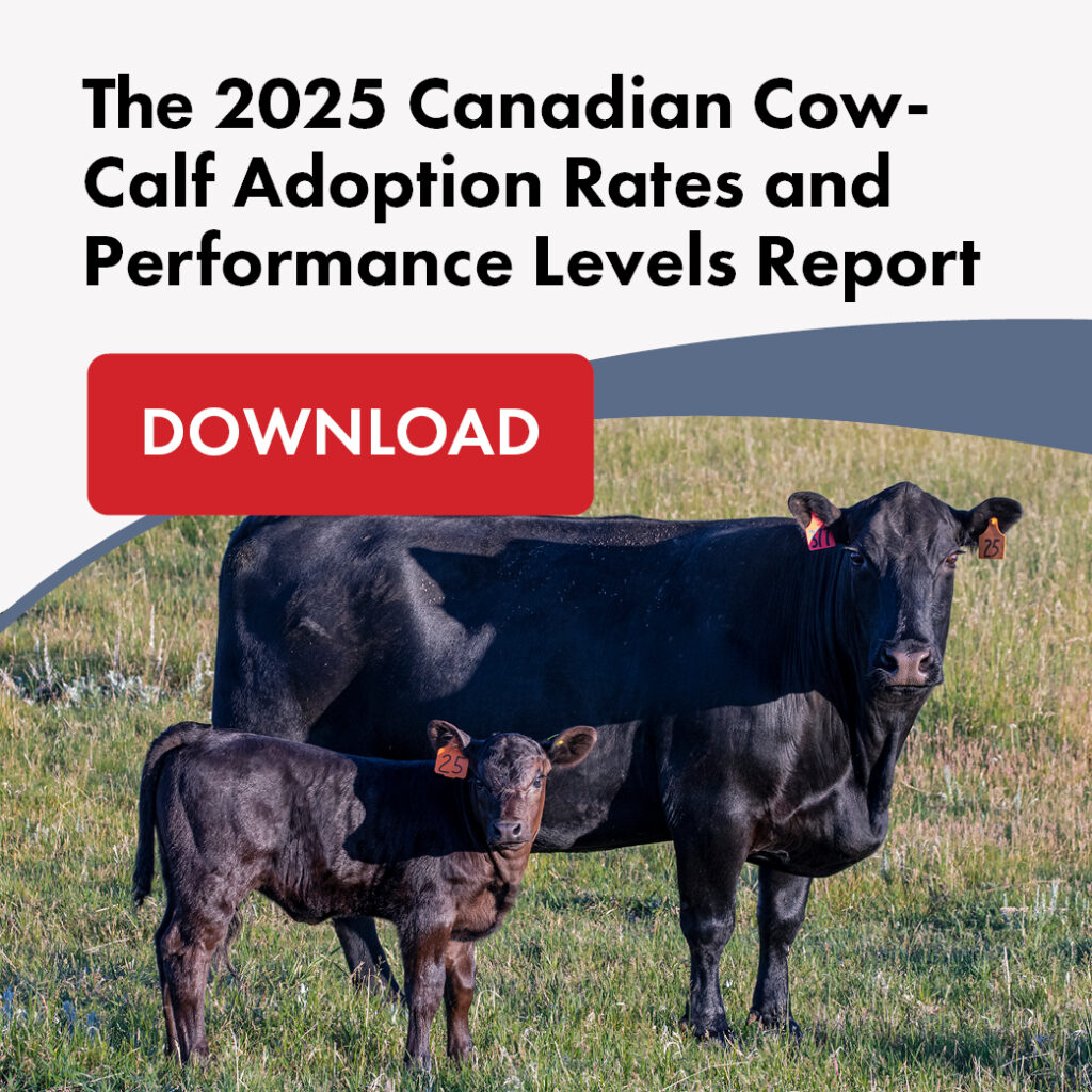 What Canadian Cow-Calf Producers Are (and Aren't) Adopting