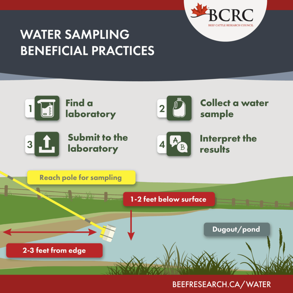 stock water sampling beneficial practices