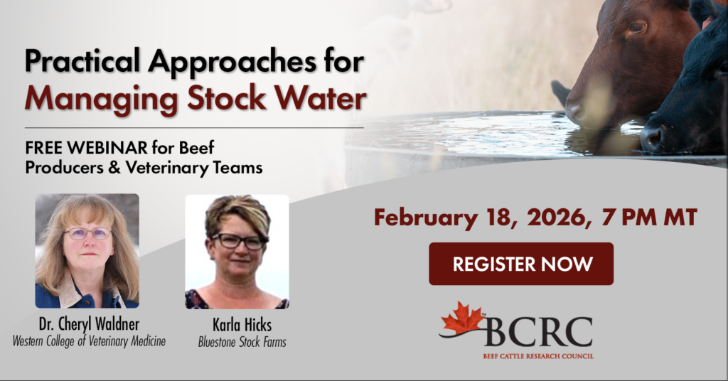 2026 stock water management webinar for beef producers and veterinary teams
