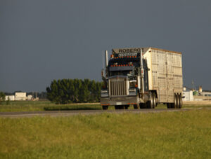 transport