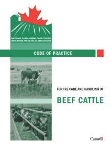 Canada’s Code of Practice for the Care and Handling of Beef Cattle (2013)