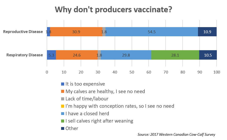 Why do beef producers not vaccinate?