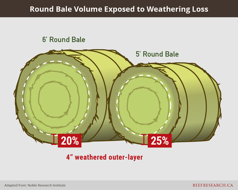 round bale volume exposed to weathering loss