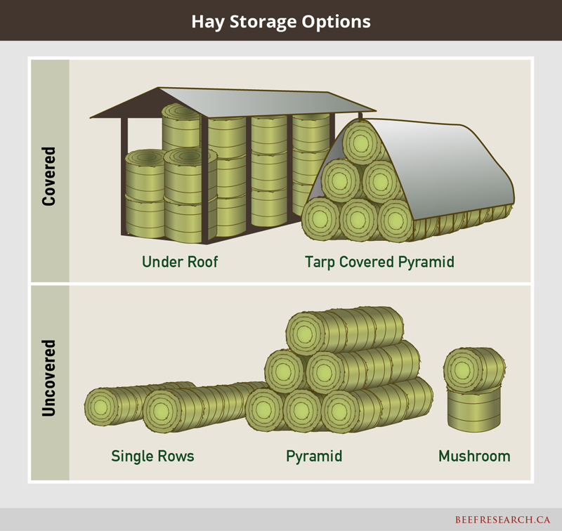 hay storage options