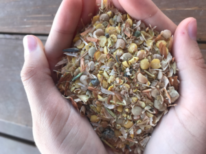 lentil screenings