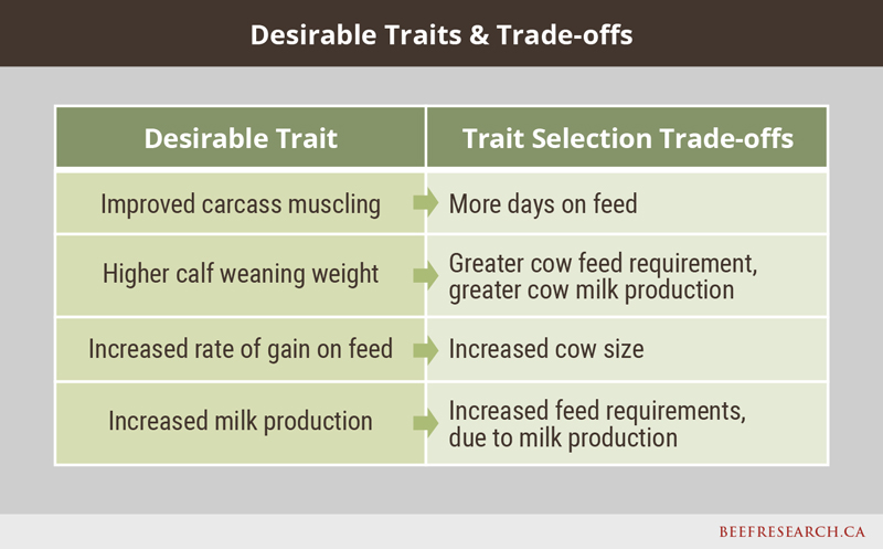 desirable traits and trade-offs