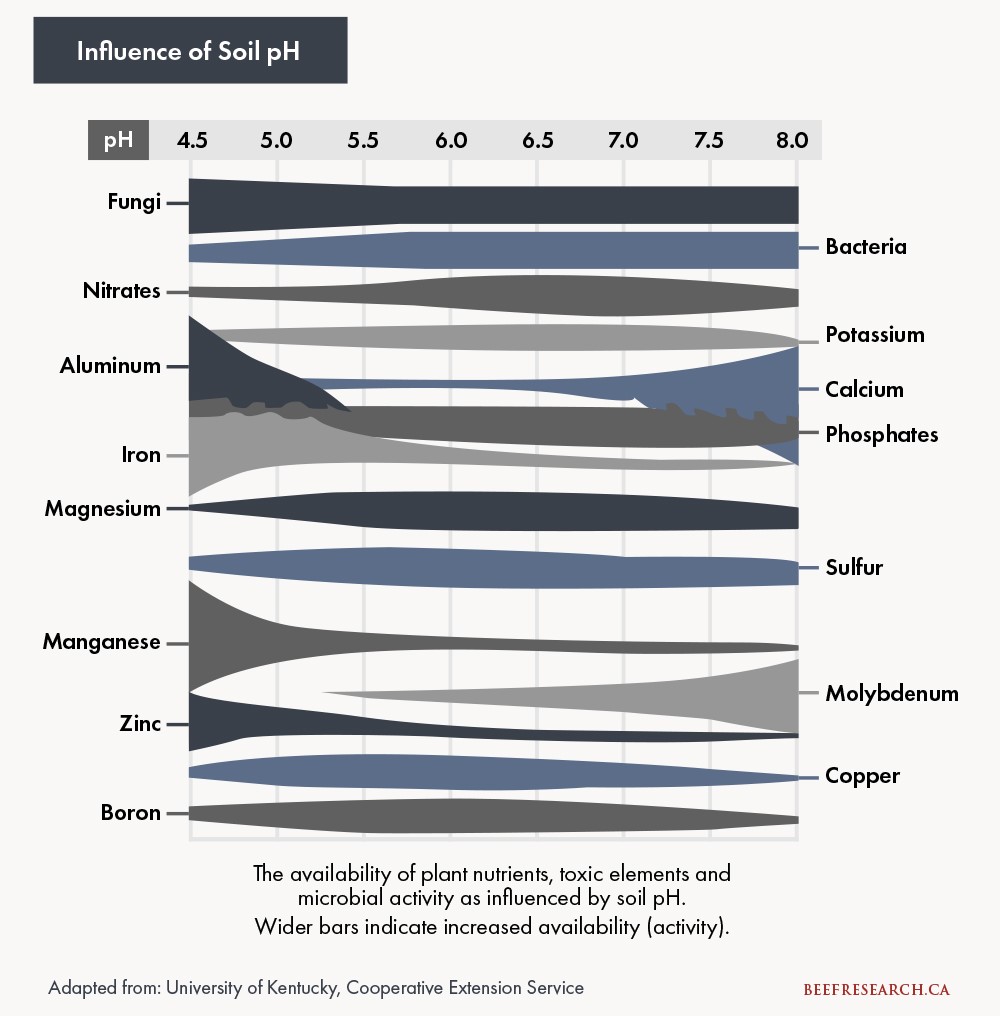 Influence of soil pH on forage and pasture